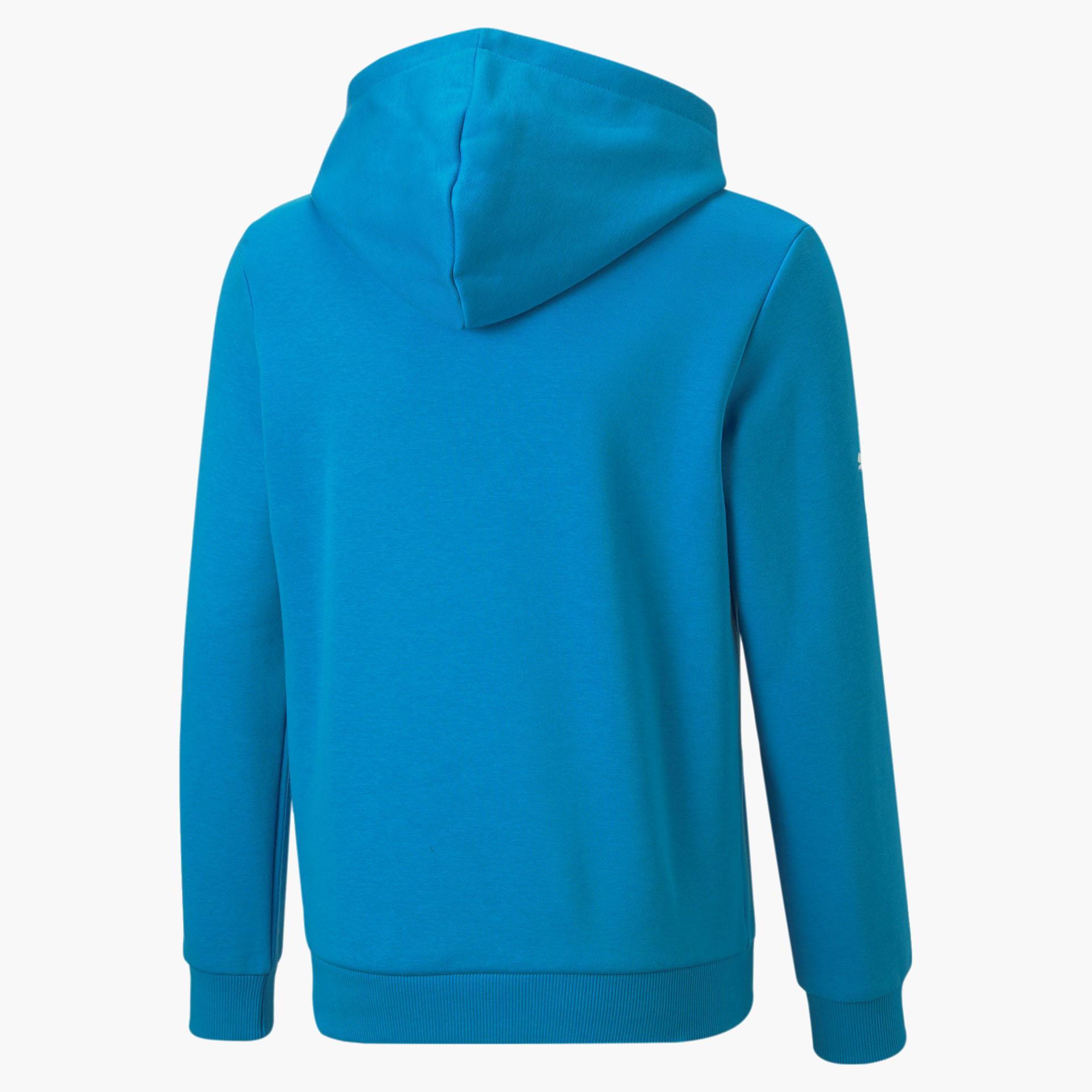 Sweat Puma BMW Motorsport