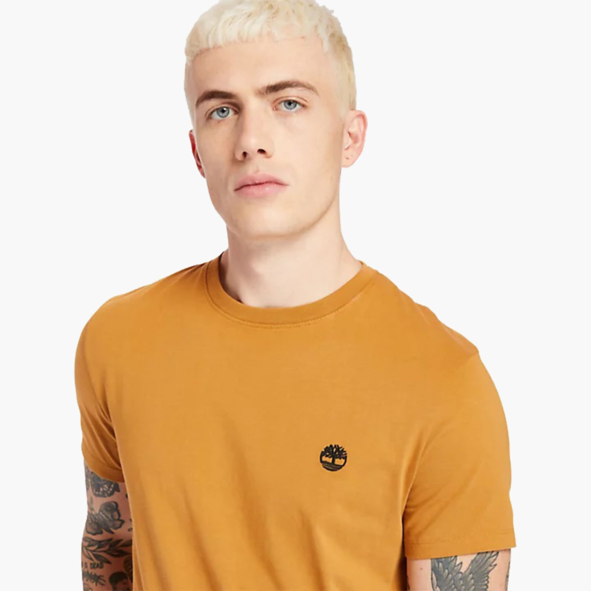T-shirt Timberland de Gola Redonda Dunstan River