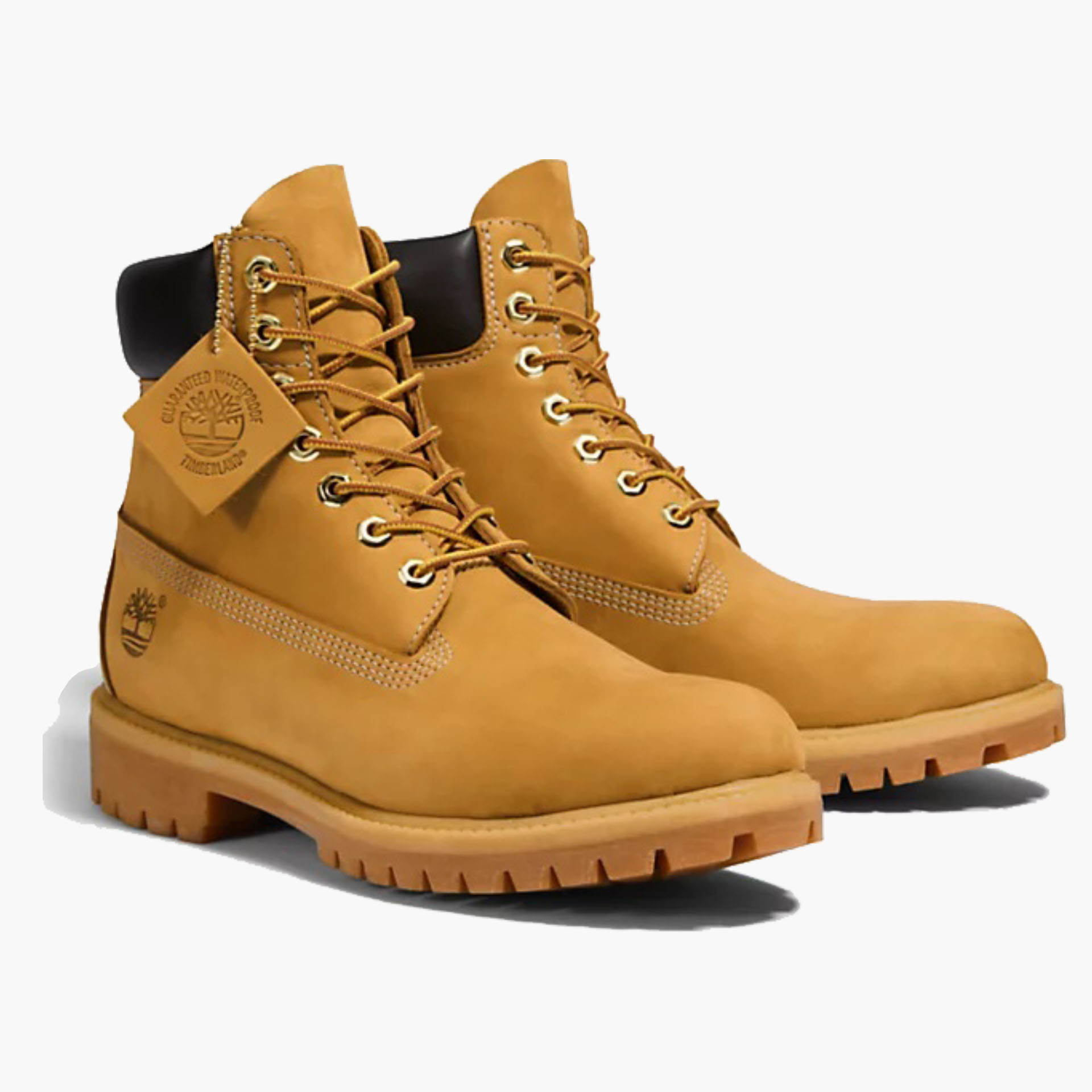 Bota Timberland Premium 6 Inch