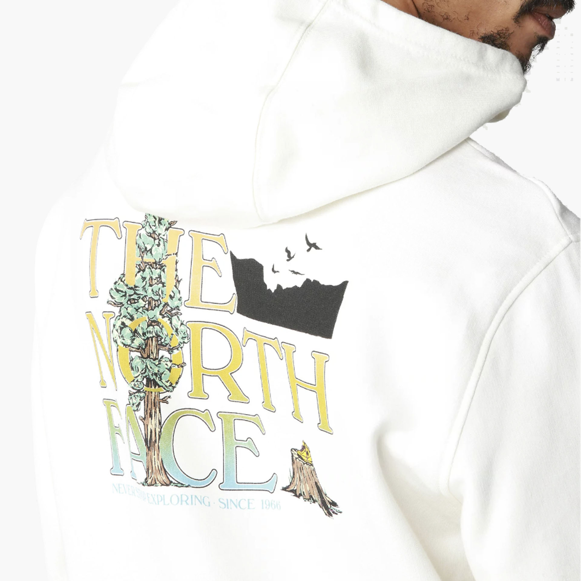 Sweat The North Face Season Graphic