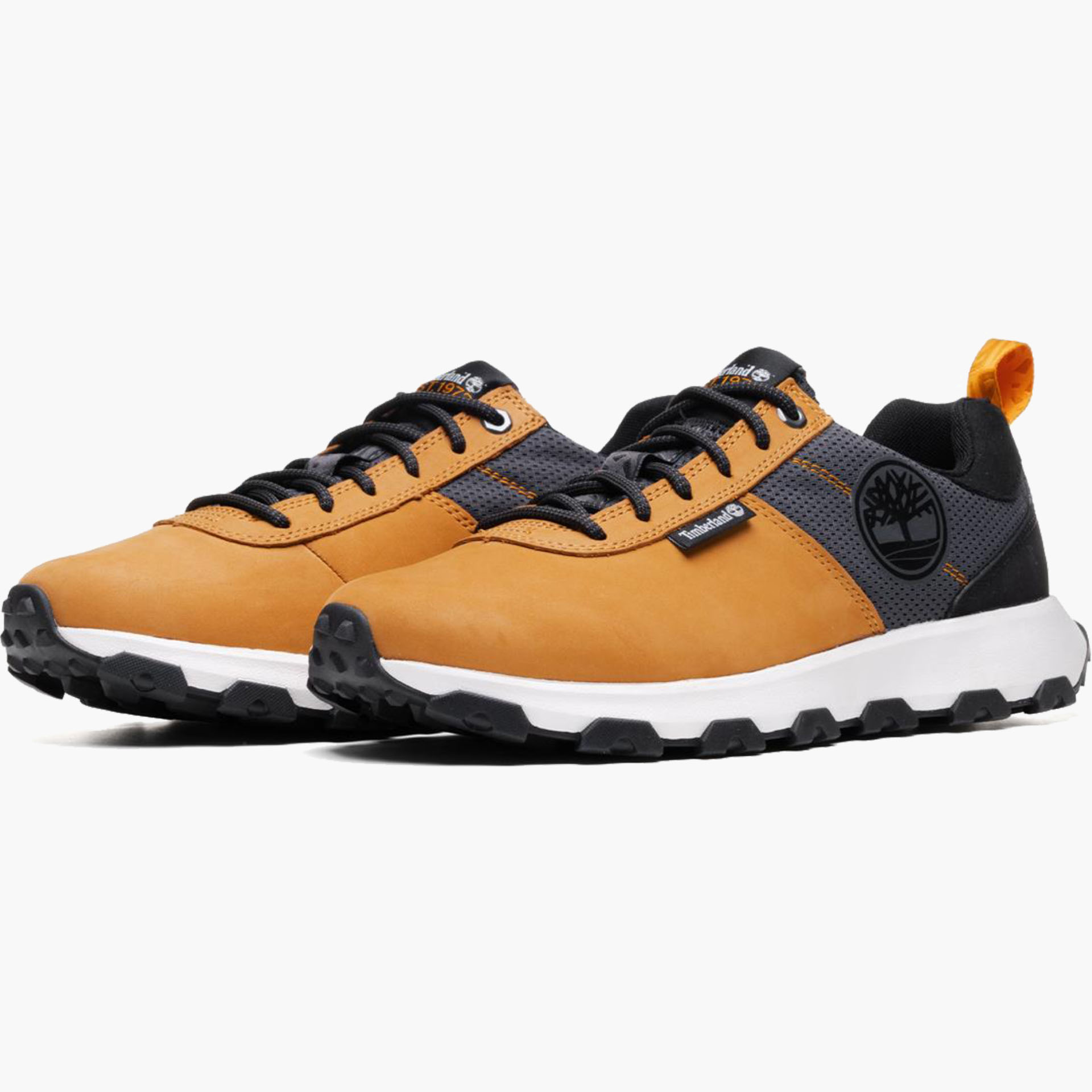 Timberland Winsor Trail Low