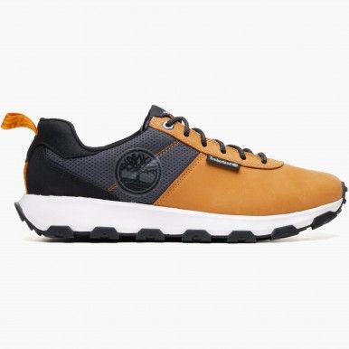 Timberland Winsor Trail Low