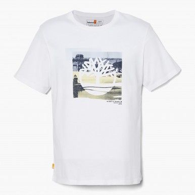 T-Shirt Timberland SS Coast Graphic