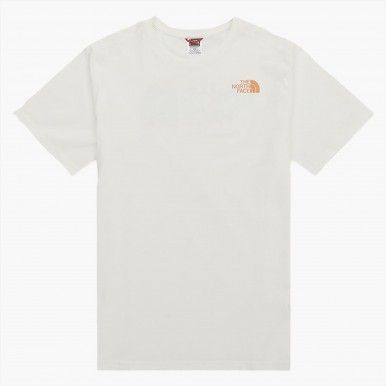 T-Shirt The North Face D2 Graphic