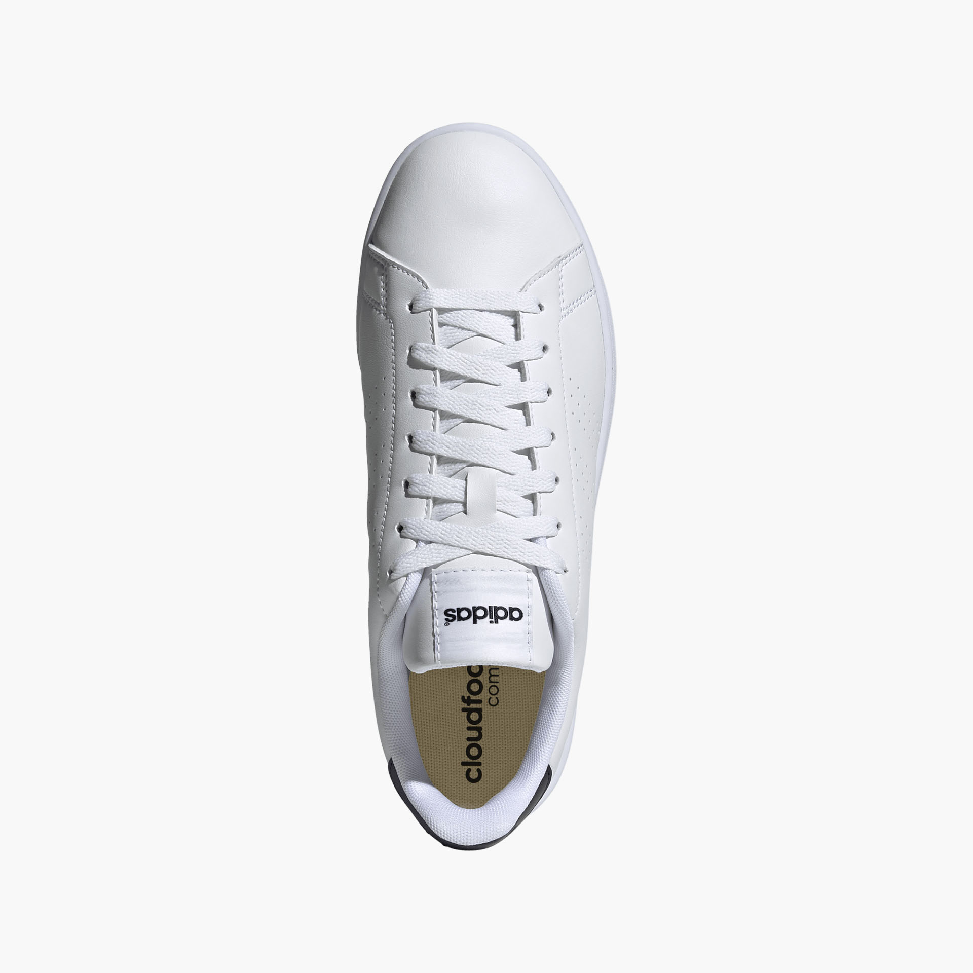 Adidas Advantage