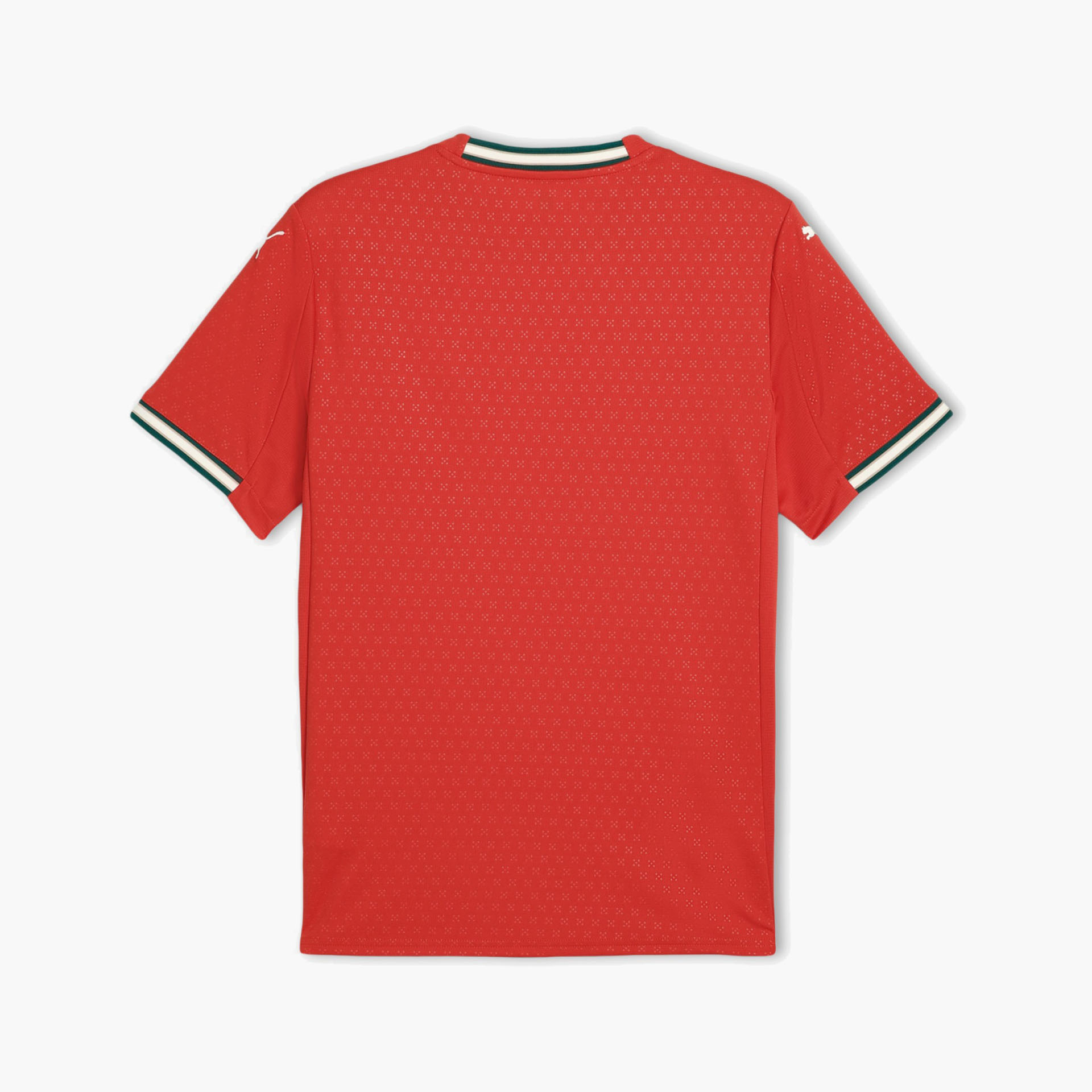 Camisola Puma Portugal FPF Home Jersey