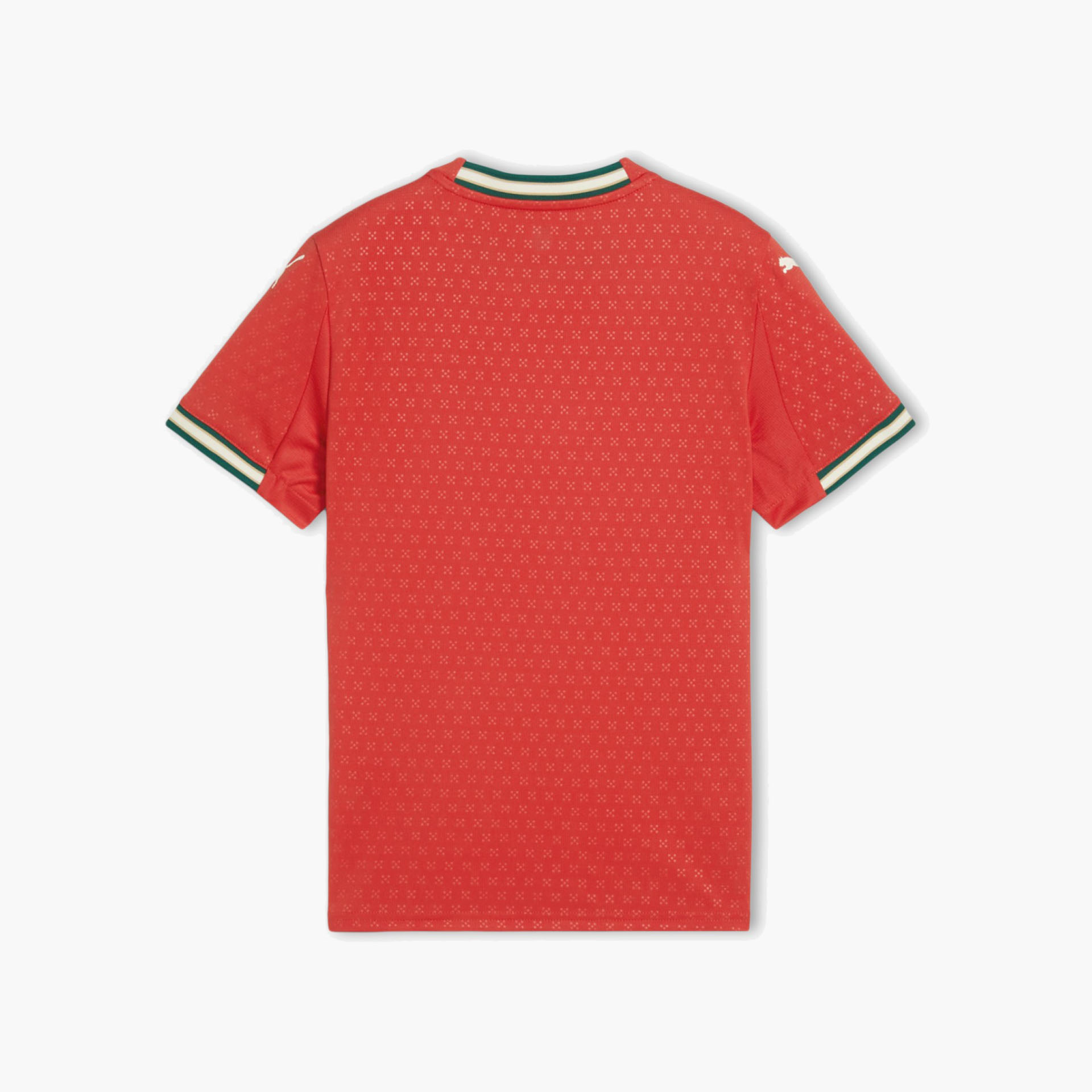 Camisola Portugal FPF Home Jersey Jr.