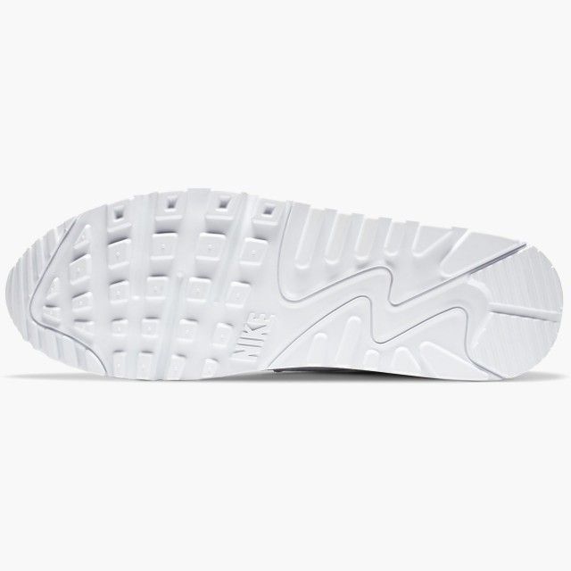 Nike Air Max 90 Ltr