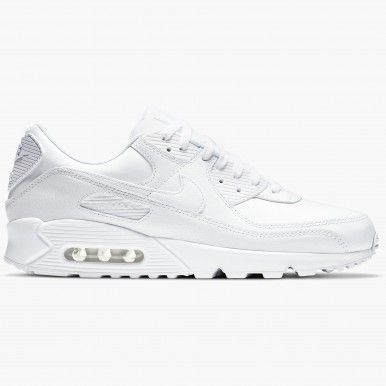 Nike Air Max 90 Ltr