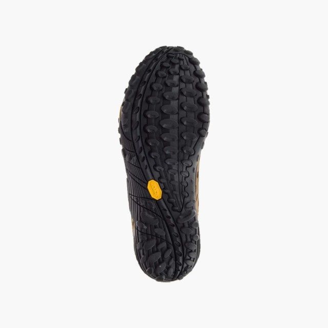 Merrell Intercept